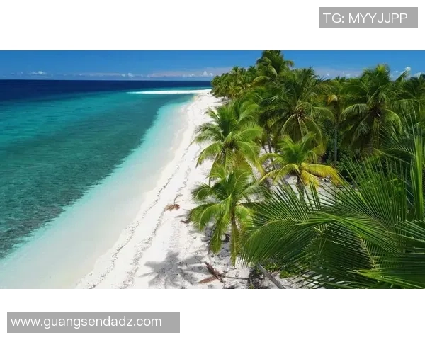 坎昆与西玛的魅力对比探寻热带海滩与古老文明的完美结合